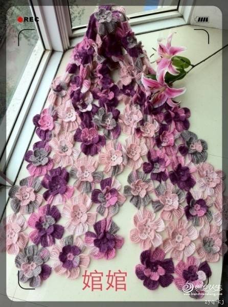 芙蓉花开一线连,有真人秀