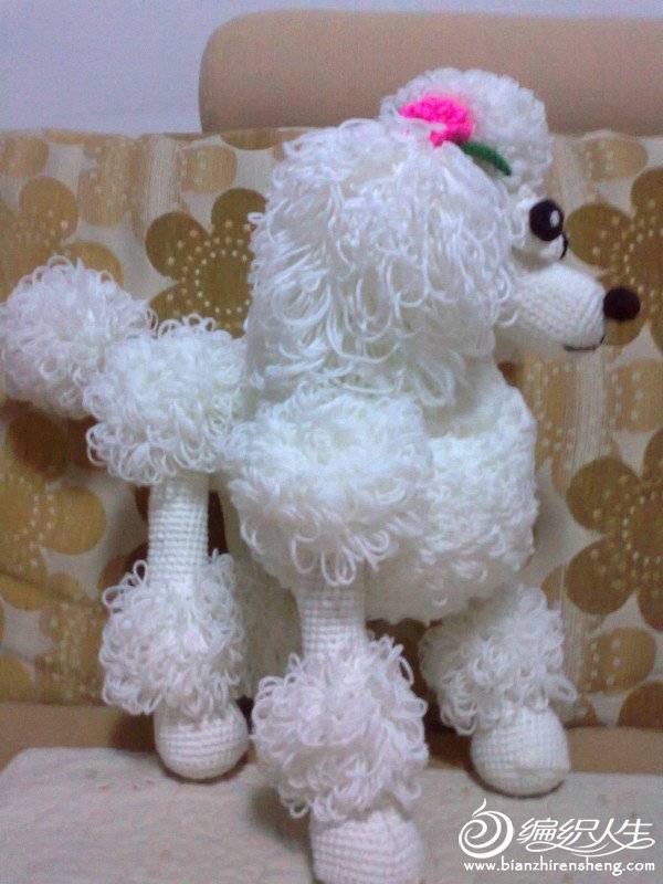 钩针贵宾犬