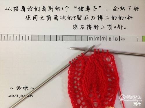 红叶披肩（附海量图解，让新手编织不再难）