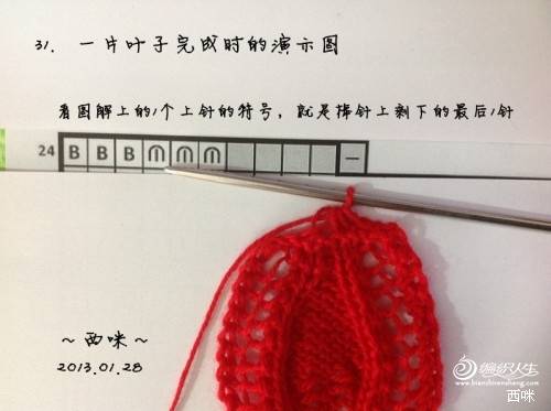 红叶披肩（附海量图解，让新手编织不再难）
