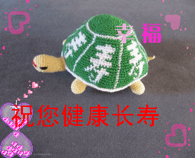 鉤針長(zhǎng)壽龜