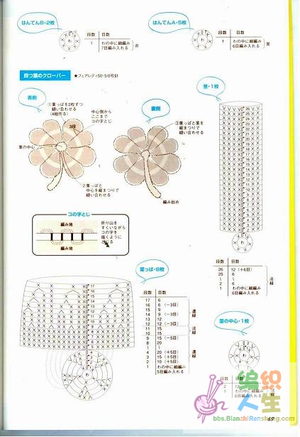 四叶草和瓢虫的图解