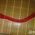 ȸ磨2011.7.29~8.10