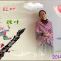 2014.Ʒ