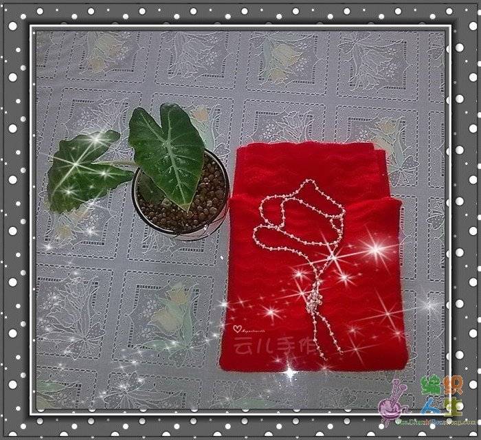 201012041246_.jpg