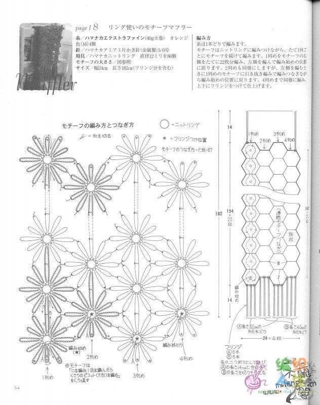weijin-juhua1.jpg