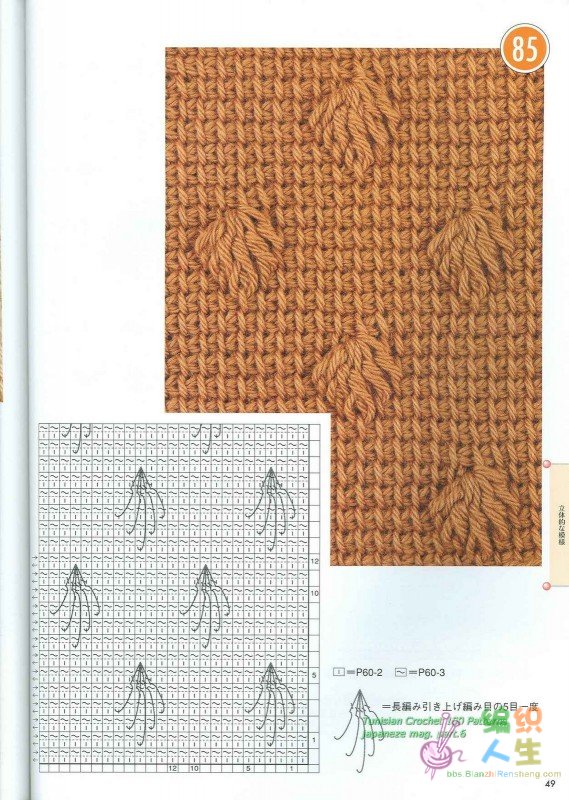 Tunisian Crochet 100 Patterns 047.JPG