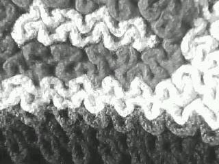 IMG0123A.jpg