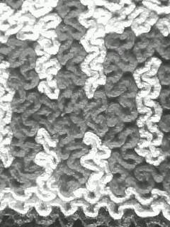 IMG0127A.jpg