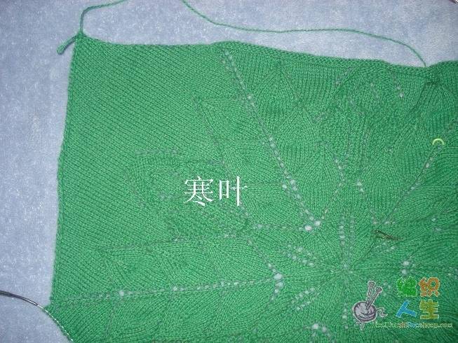 DSC00849.JPG