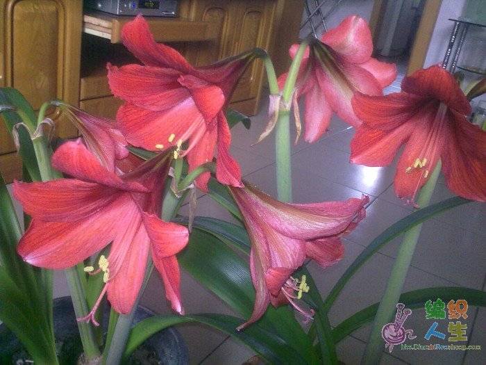 20110205507.jpg