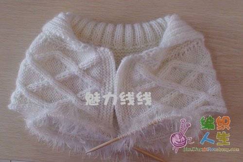 DSC01699_conew1.jpg