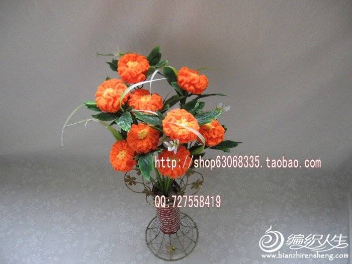 IMG_0447_conew1.jpg
