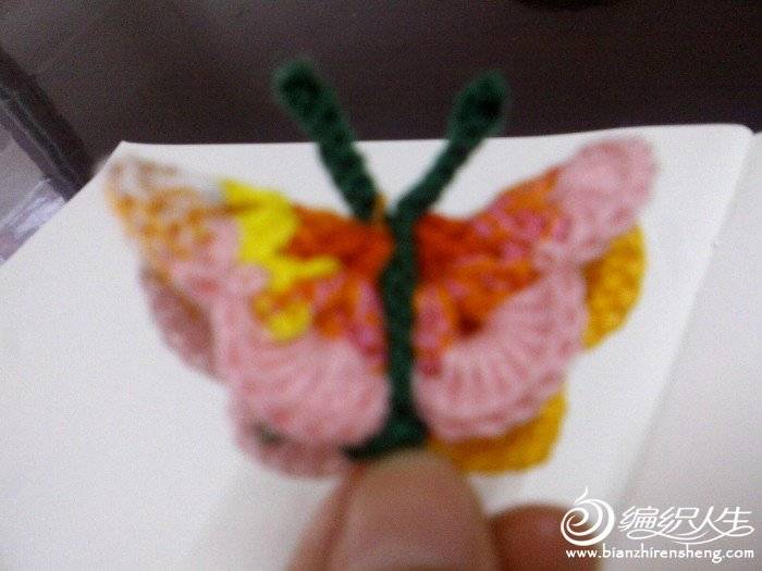 IMG0703174700.jpg