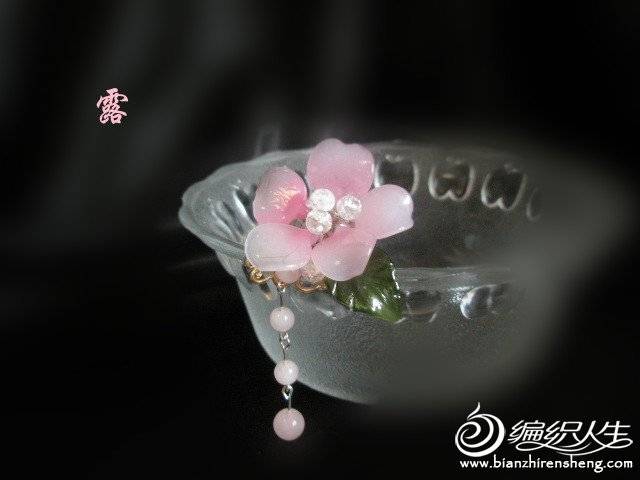 P8120012_.jpg