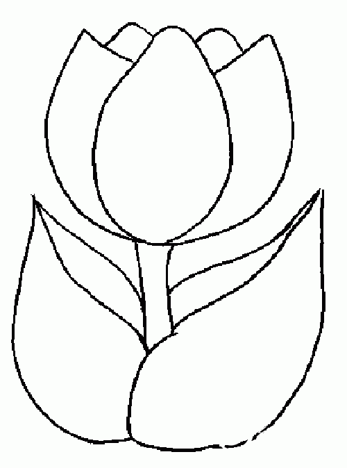 tulip.gif