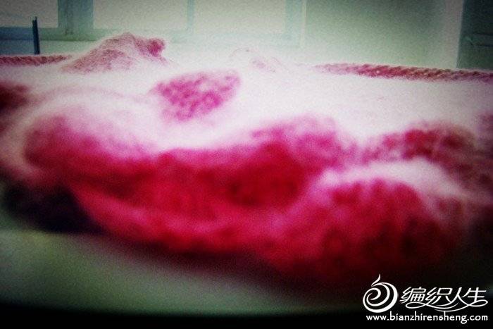 DSC02840_.jpg