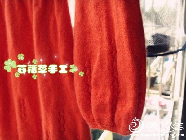 SDC10651_.jpg