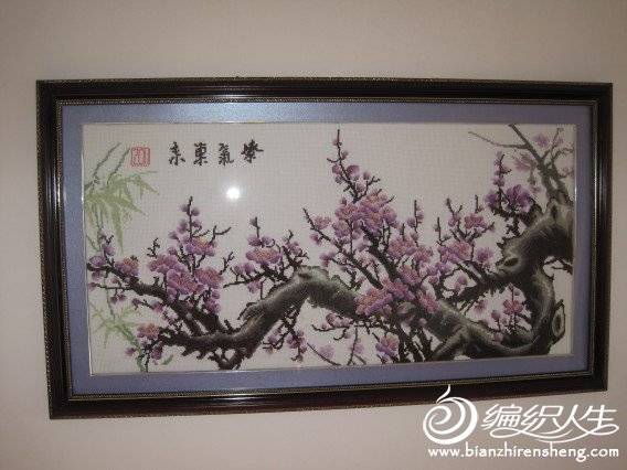 conew_img_0775.jpg