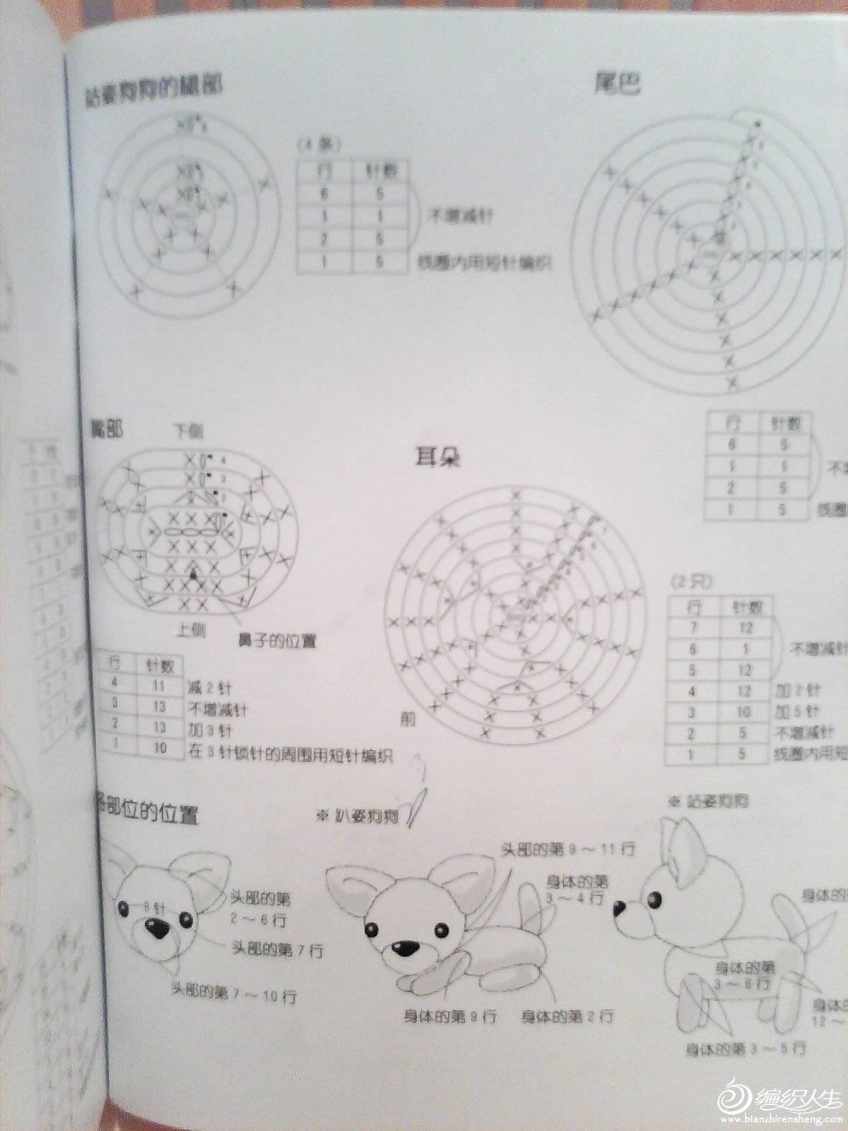 IMG0437A.jpg