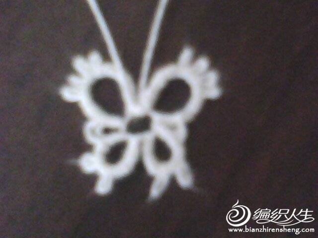 IMG0407A.jpg