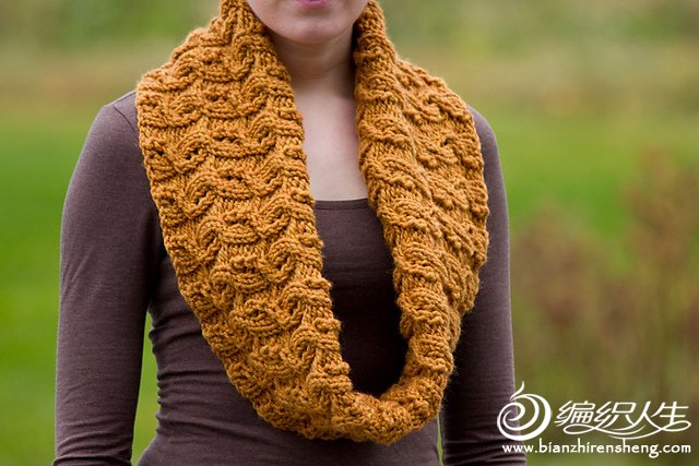 winter wheat cowl2.jpg