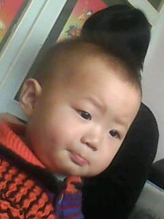 IMG0101A.jpg