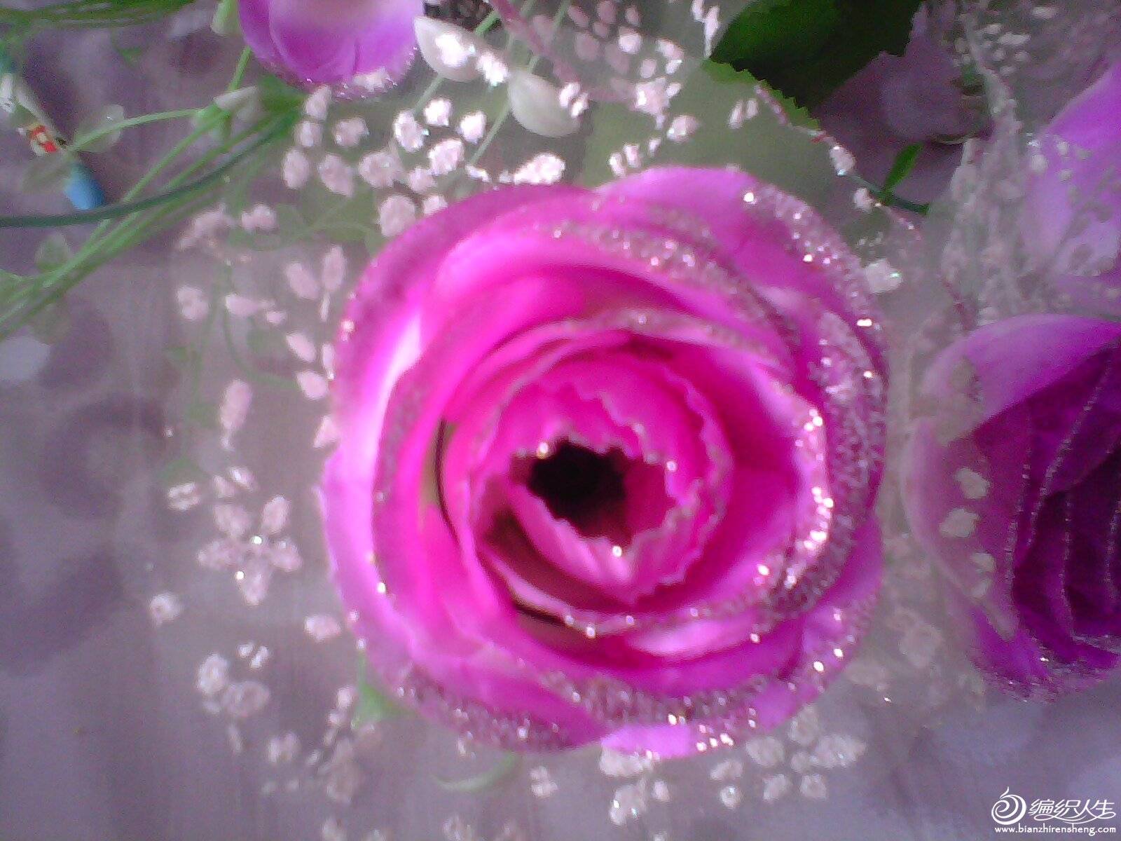 IMG0882A.jpg