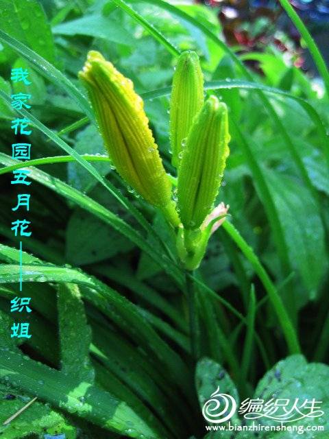 Ҽһ԰»-֯- (32).jpg