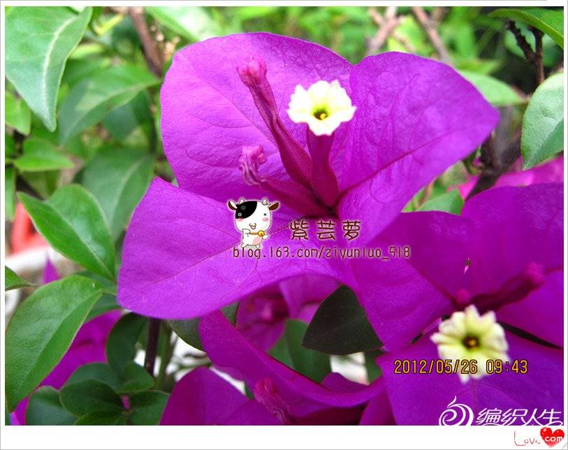 Ƭ 016_.jpg