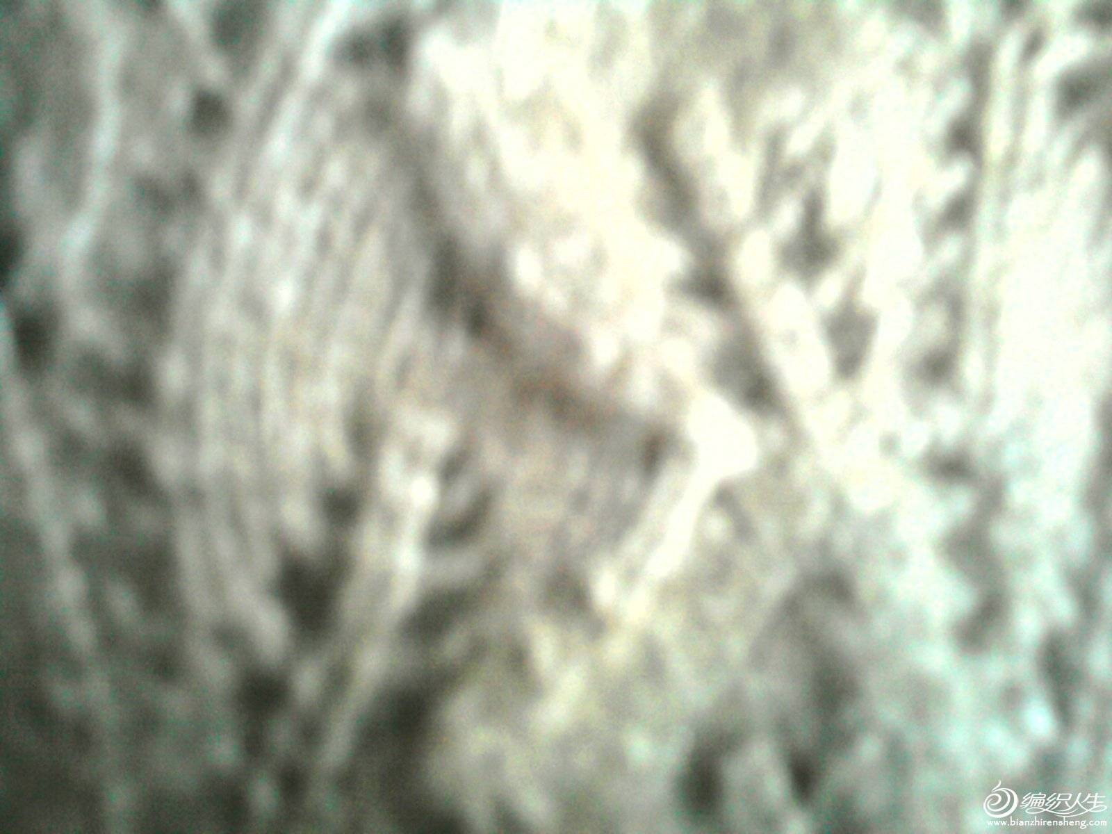 Ƭ0599.jpg