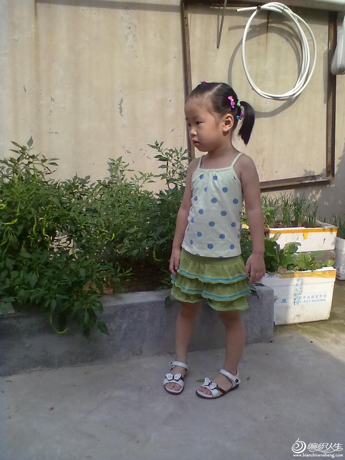 20120802288.jpg