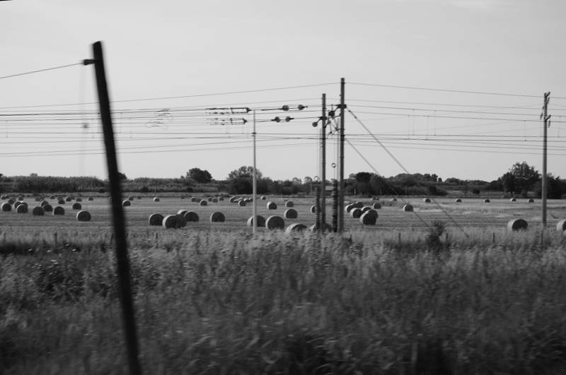 DSC_0011.JPG