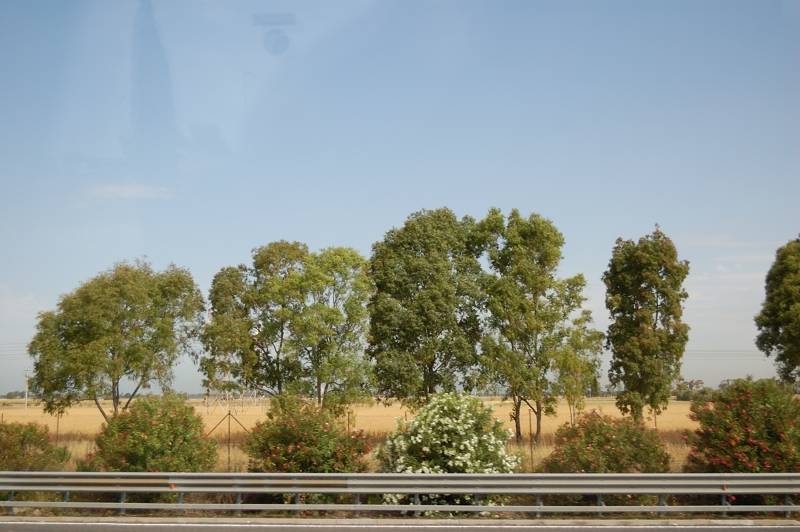 DSC_0013.JPG