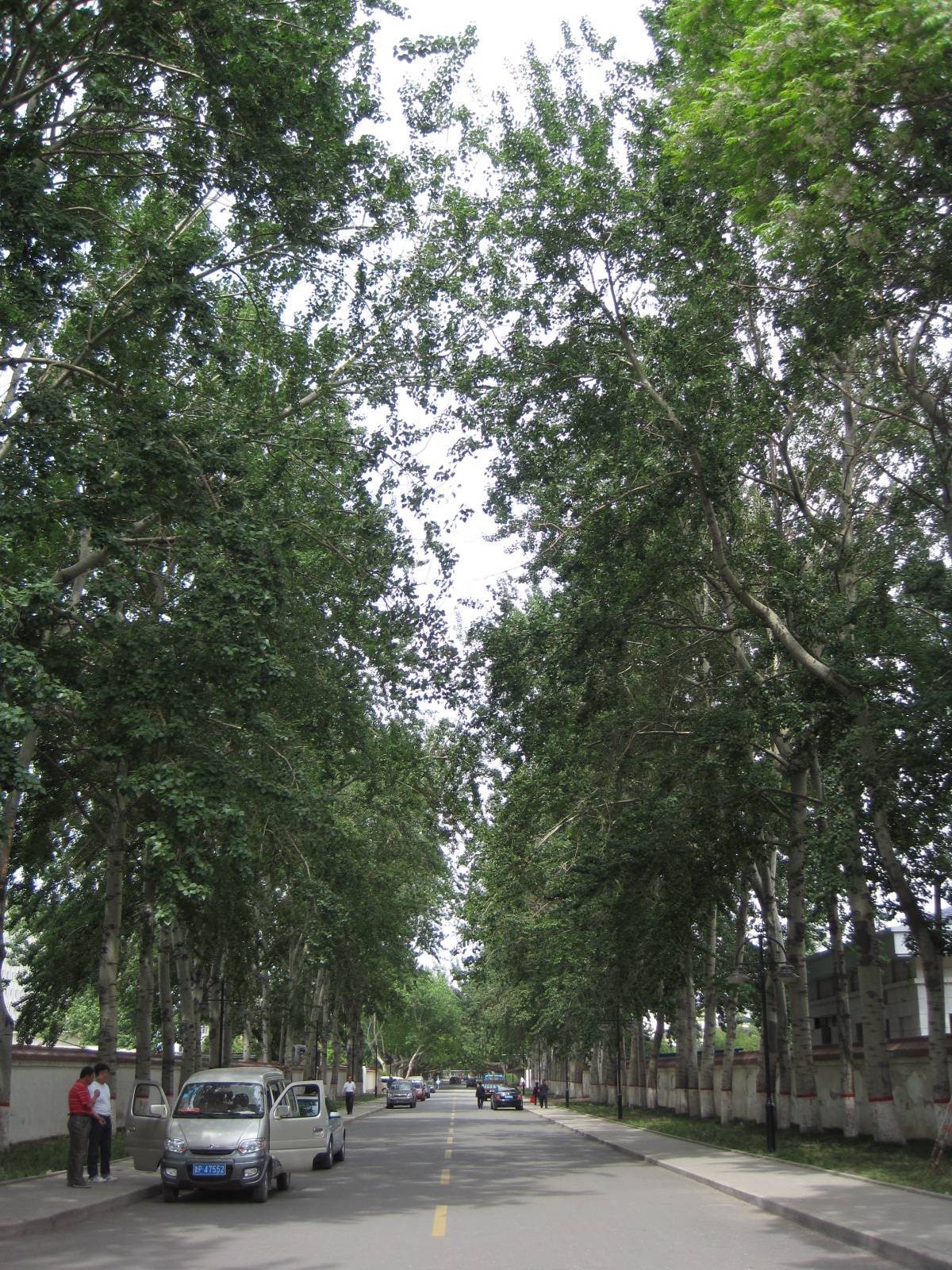 20110519.JPG