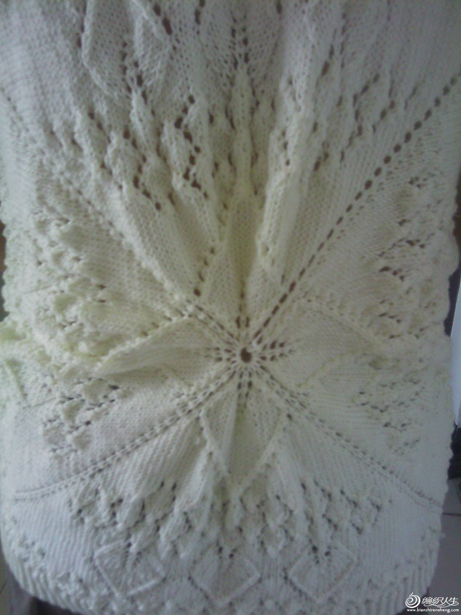 IMAG0141.jpg