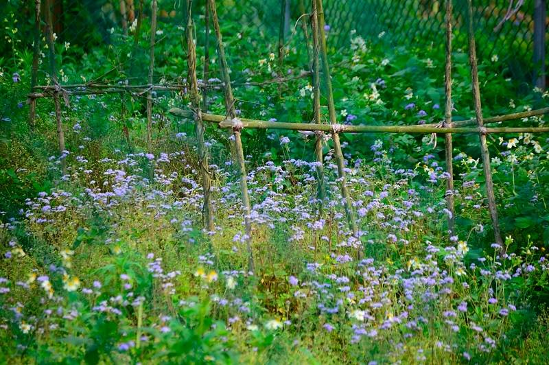 DSC_0002_01.JPG