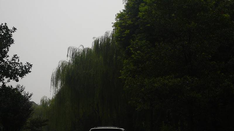 P1010863_.jpg