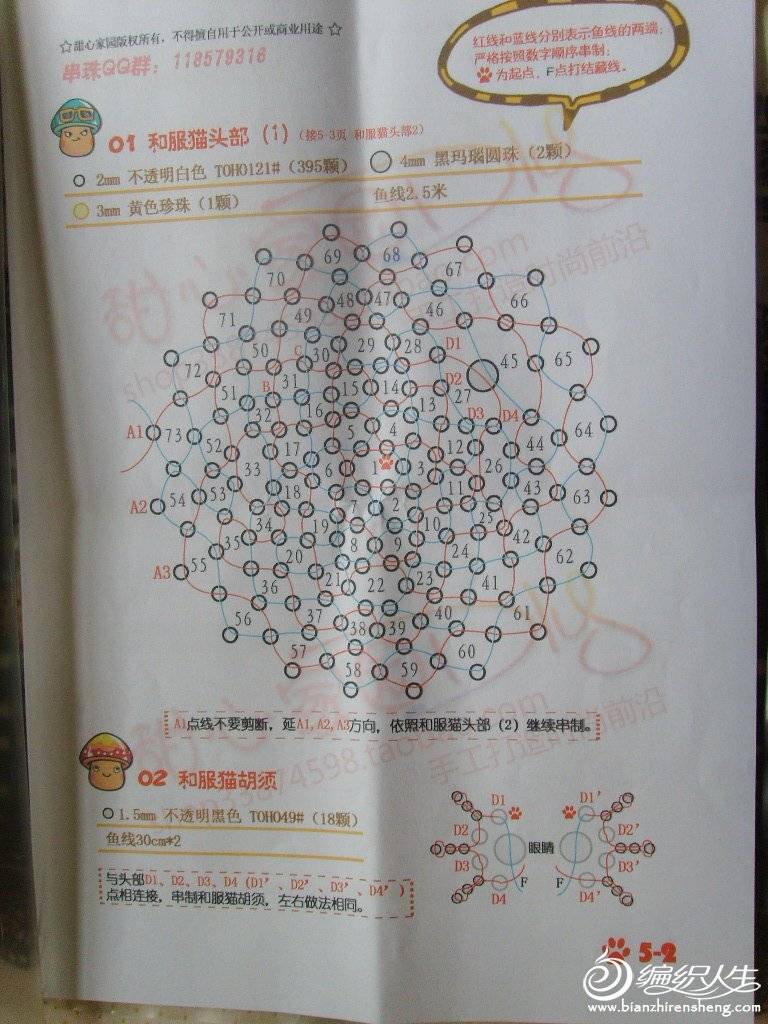 ͷè (2).JPG
