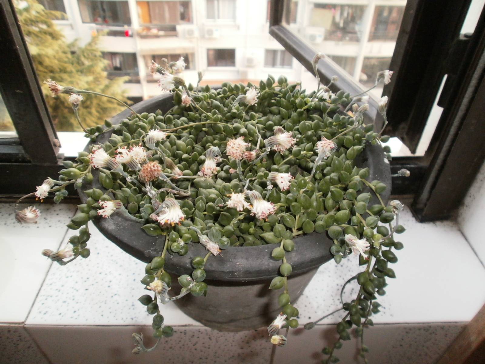 PA040474.JPG