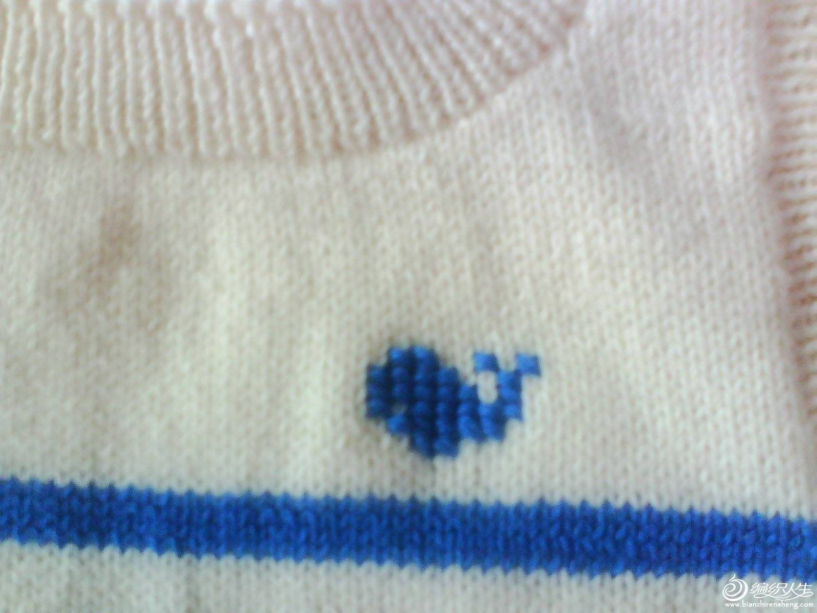 IMG1310A.jpg
