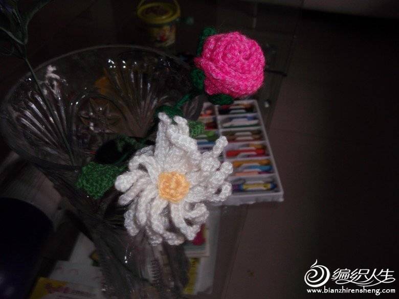 DSCF2068_conew1.jpg