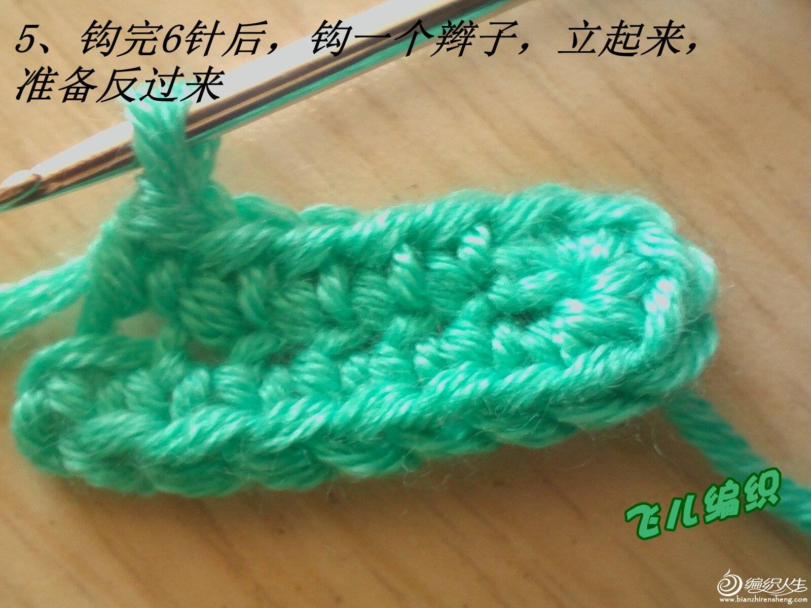 IMG1512_.jpg