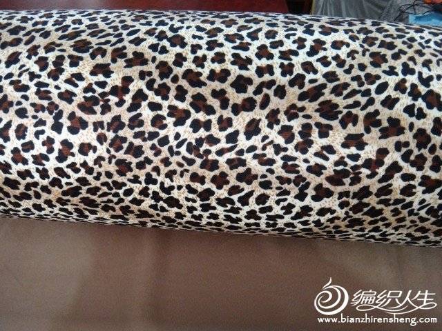 T26qq9XctaXXXXXXXX_!!1023728066.jpg
