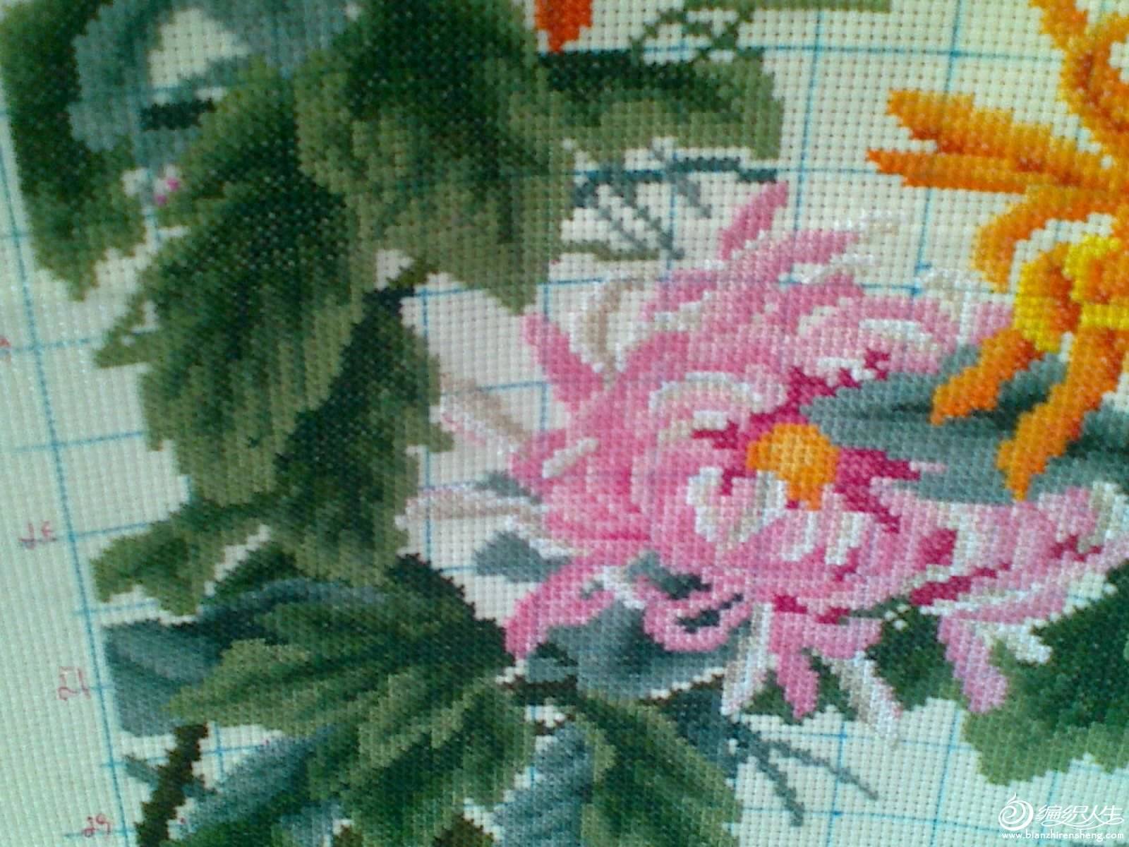 20130106295.jpg