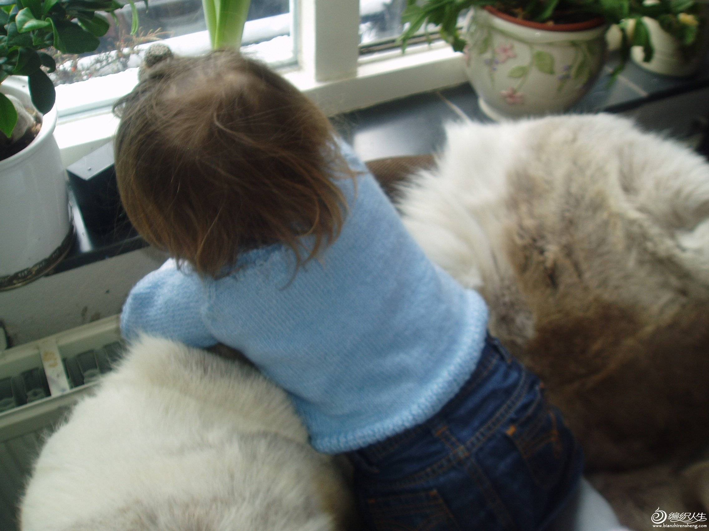 P1010001.JPG
