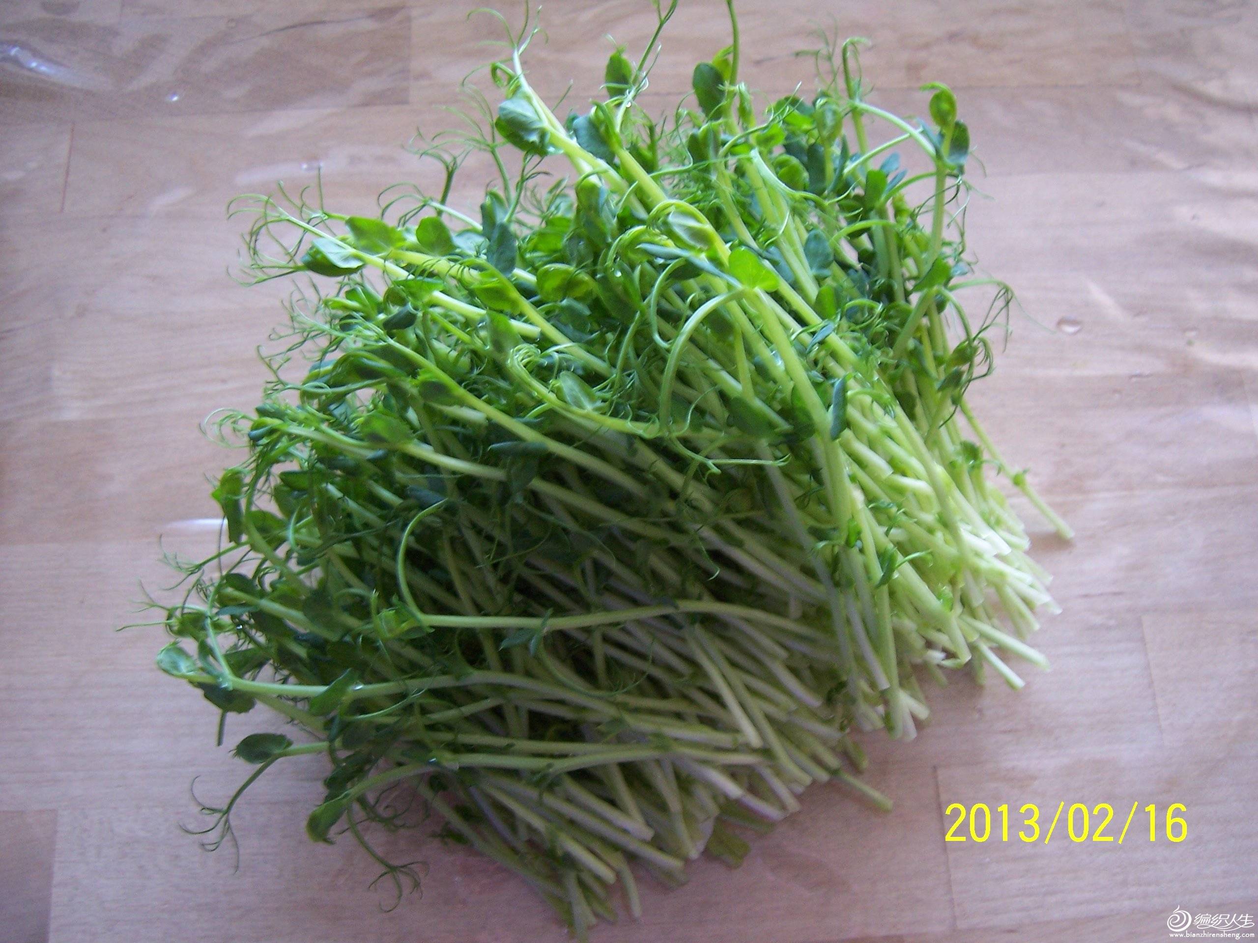 Լ㶹 027.JPG