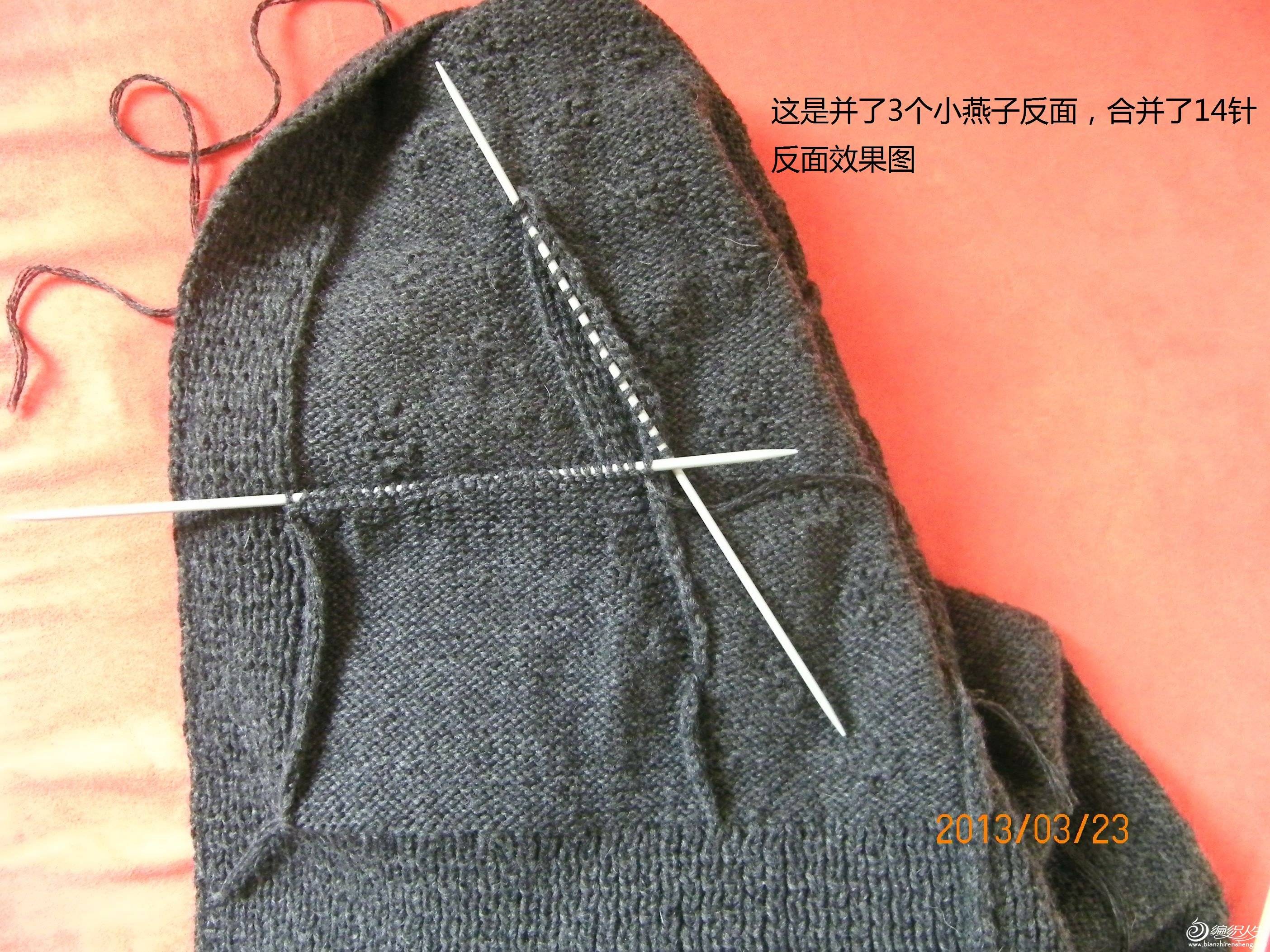 100_1250.JPG