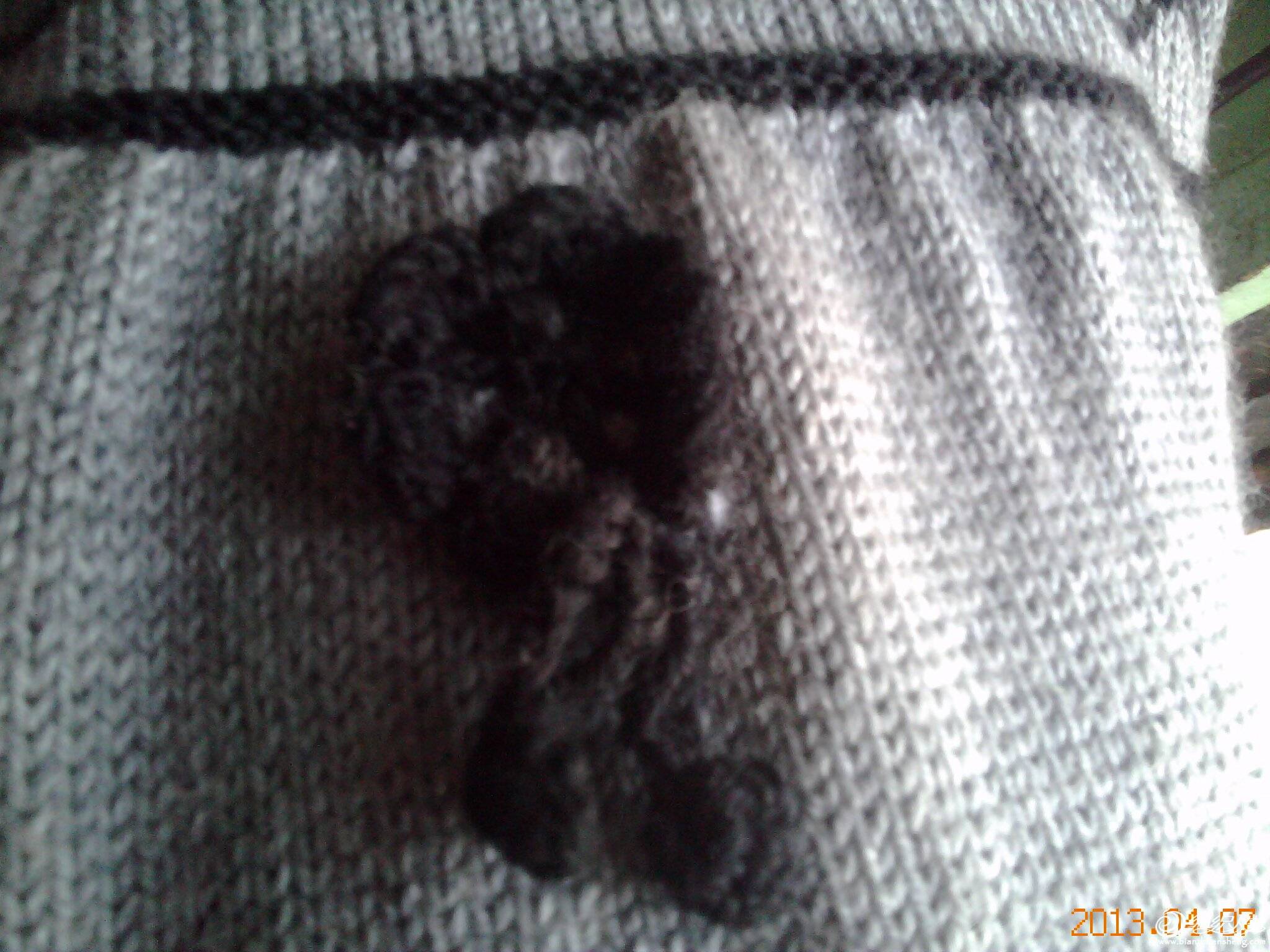 20130407182125463.jpg