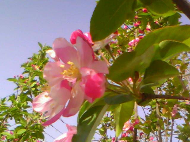 20130408E003.jpg